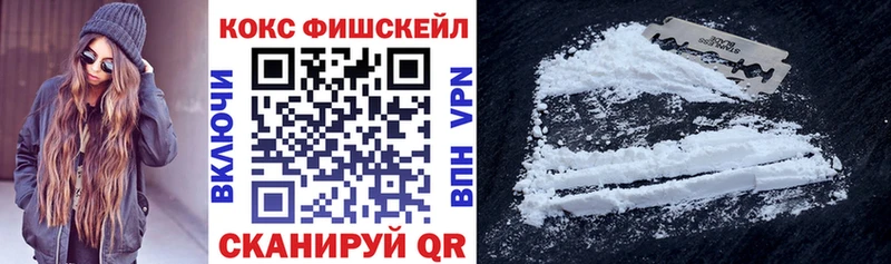 Cocaine FishScale  наркотики  Домодедово 