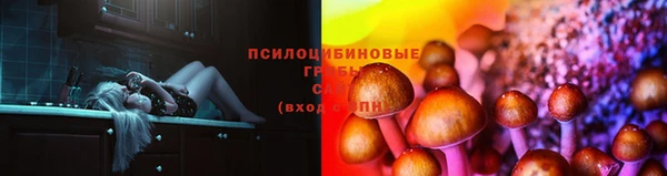 Альфа ПВП Вязники