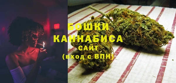 прущие крисы Вяземский